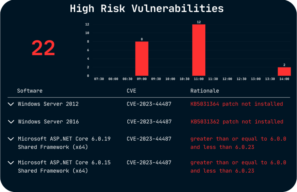 high_risk_vulnerabilites_managed_soc_xdr_siem_cybersecurity