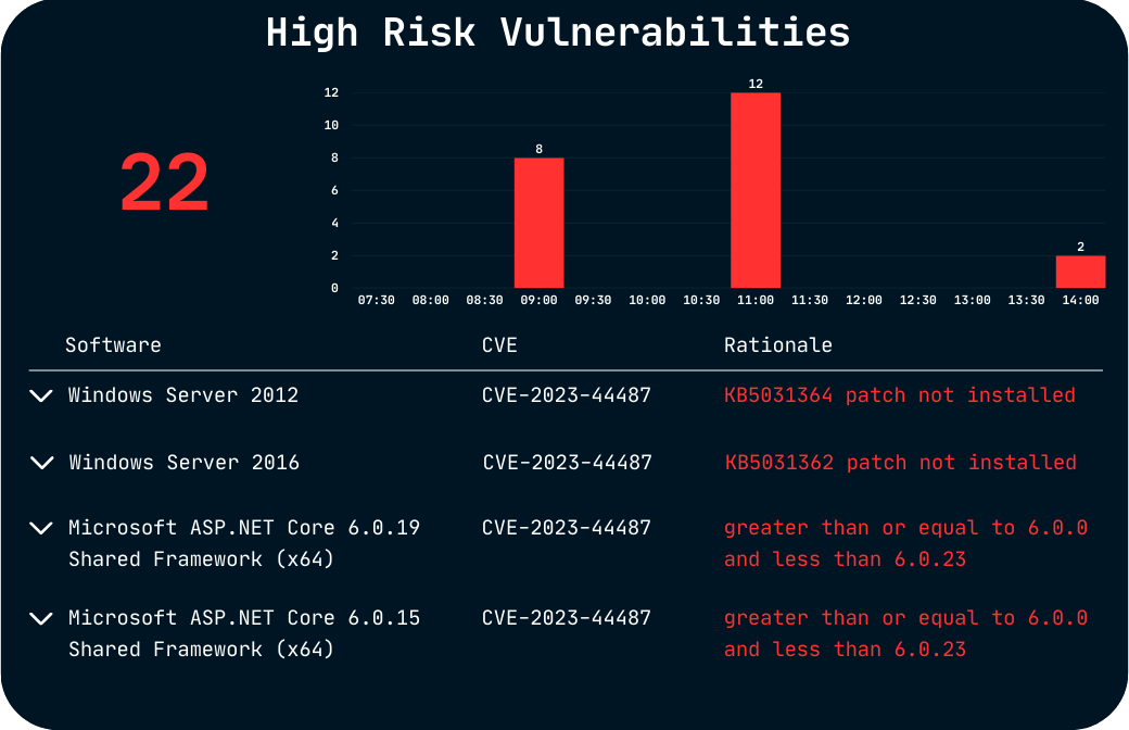 high_risk_vulnerabilites_managed_soc_xdr_siem_cybersecurity